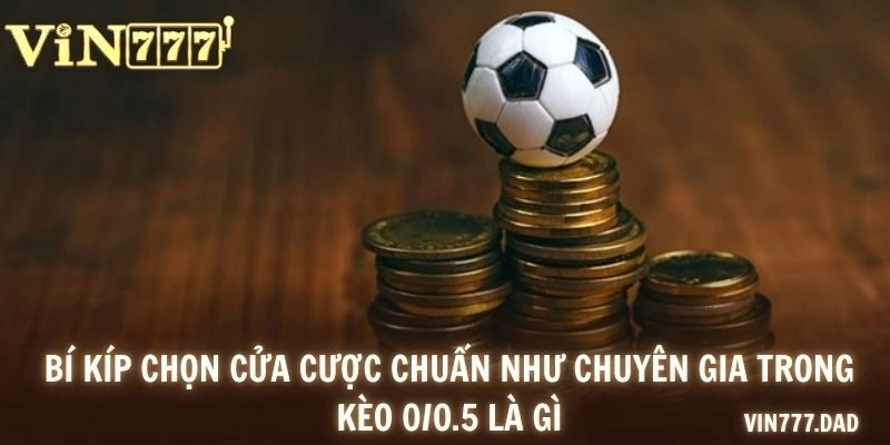 Bí kíp chọn cửa cược chuẩn như chuyên gia trong kèo 0/0.5 là gì