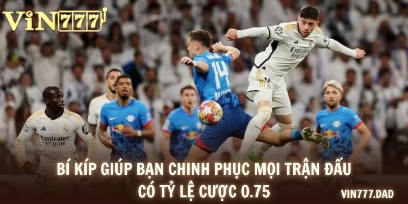Bí kíp giúp bạn chinh phục mọi trận đấu có tỷ lệ cược 0.75