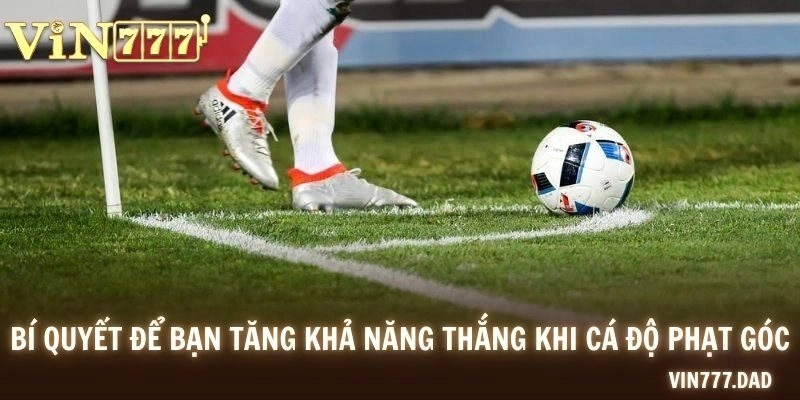 Bí quyết để bạn tăng khả năng thắng khi cá độ phạt góc