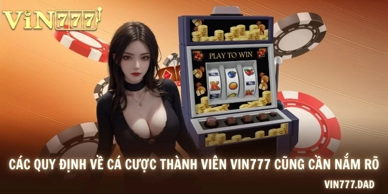 Các quy định về cá cược thành viên VIN777 cũng cần nắm rõ