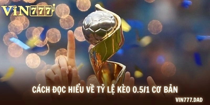 Cách đọc hiểu về tỷ lệ kèo 0.5/1 cơ bản