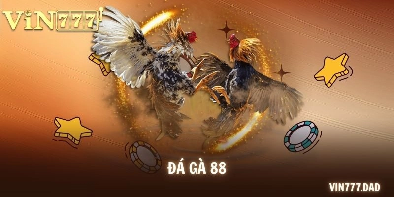 Đá Gà 88 – Địa Điểm Uy Tín Trong Giới Chọi Kê Quốc Tế