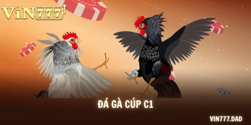 Đá Gà Cúp C1 Đẳng Cấp Với Các Trận Chọi Kê Đặc Sắc