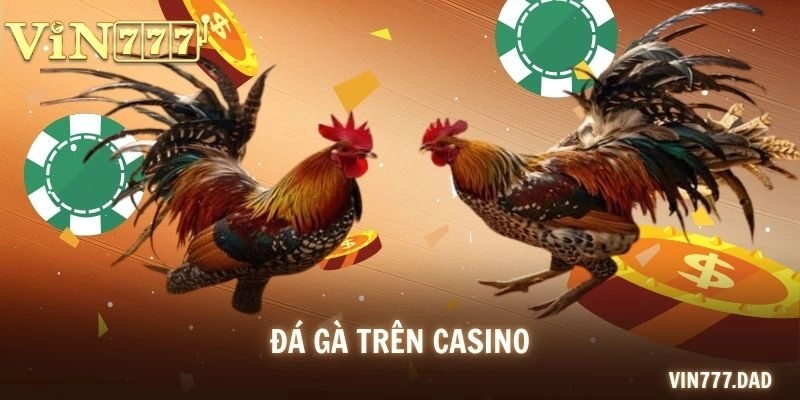 Đá Gà Trên Casino Đặc Sắc Và Bí Kíp Cược Hiệu Quả Cùng VIN777