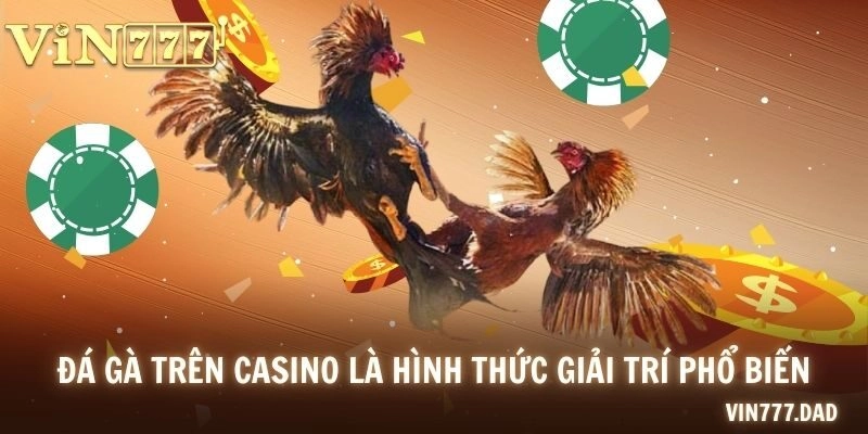 Đá gà trên casino là hình thức giải trí phổ biến hiện nay