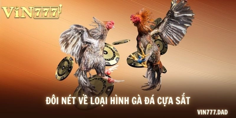 Đôi nét về loại hình gà đá cựa sắt