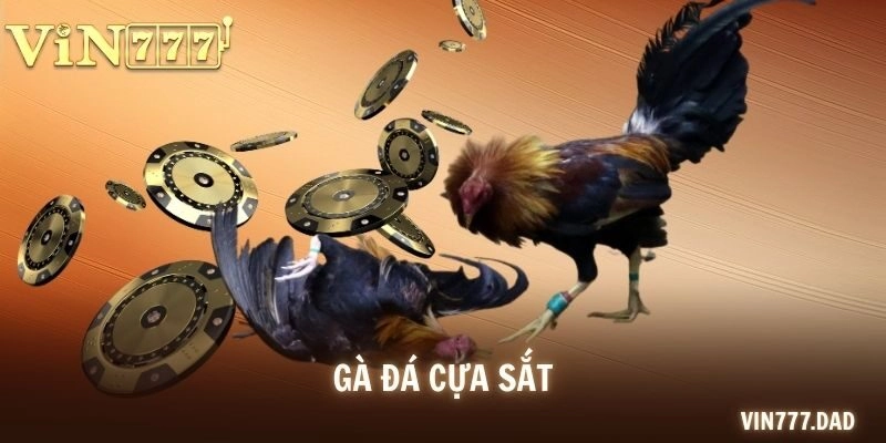 Gà Đá Cựa Sắt Đặc Sắc Và Bí Kíp Chọn Cửa Cược Chuẩn