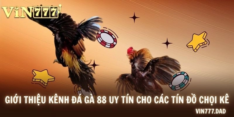 Giới thiệu kênh đá gà 88 uy tín cho các tín đồ chọi kê