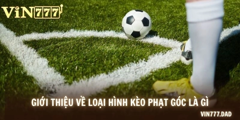 Giới thiệu về loại hình kèo phạt góc là gì