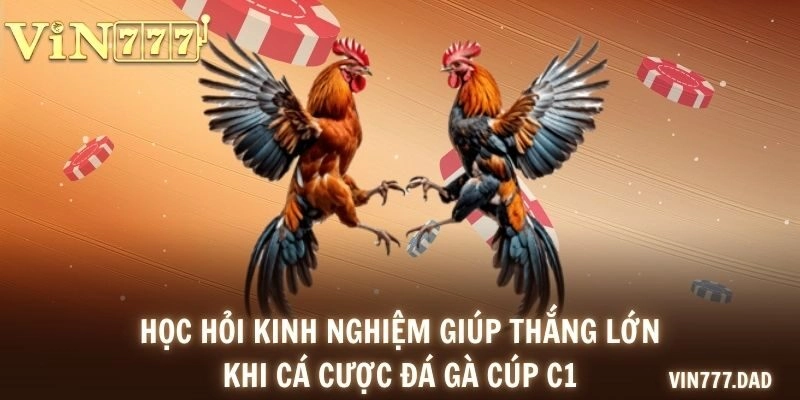 Học hỏi kinh nghiệm giúp thắng lớn khi cá cược đá gà cúp C1