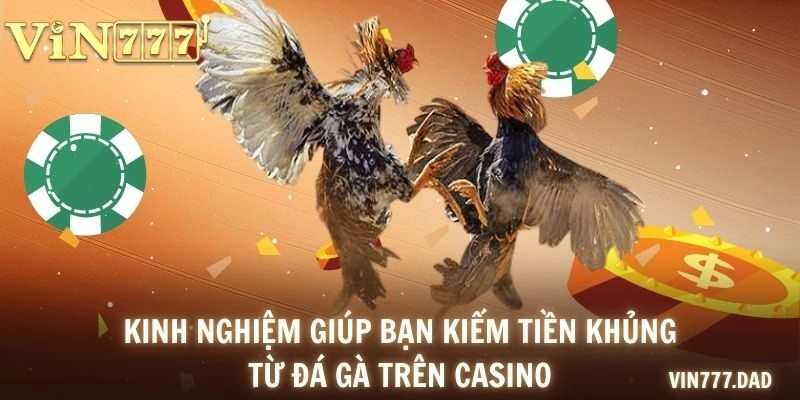 Kinh nghiệm giúp bạn kiếm tiền khủng từ đá gà trên casino