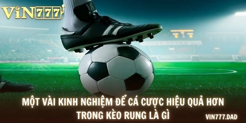 Một vài kinh nghiệm để cá cược hiệu quả hơn trong kèo rung là gì