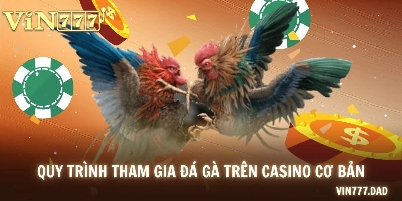 Quy trình tham gia đá gà trên casino cơ bản