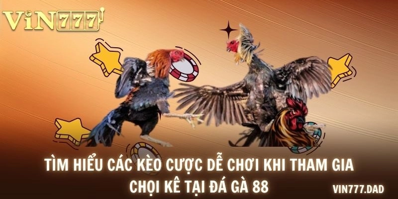 Tìm hiểu các kèo cược dễ chơi khi tham gia chọi kê tại đá gà 88
