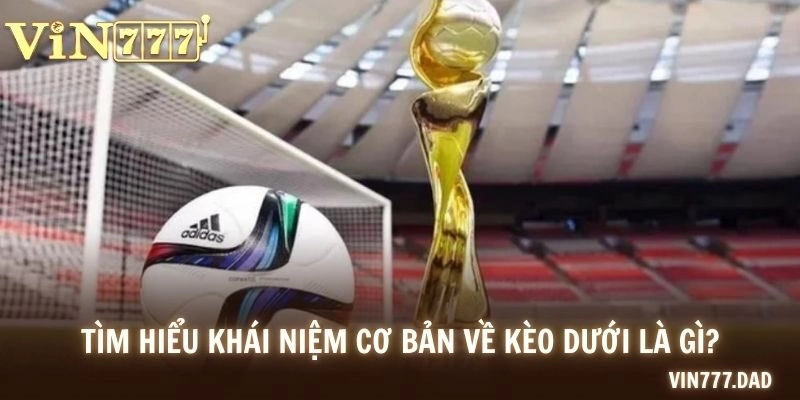 Tìm hiểu khái niệm cơ bản về kèo dưới là gì?